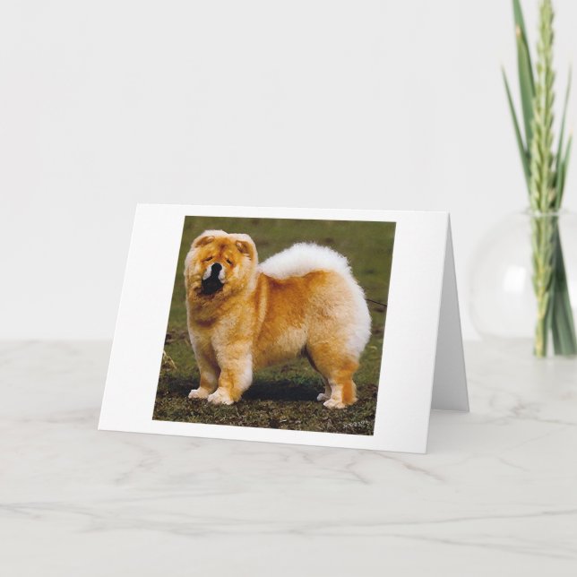 Chow Chow Dog Portrait Blank Greeting Card (Front)