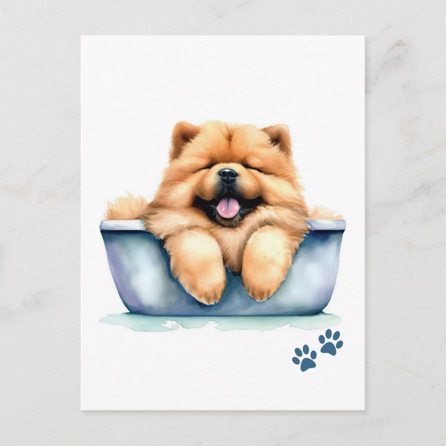 Chow Chow Dog Postcard (Front)