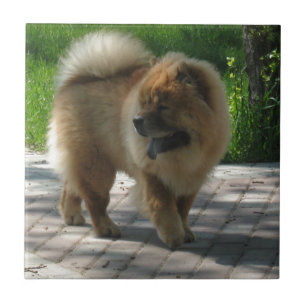 chow chow full ceramic tile
