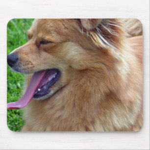 Chow Chow Mouse Pad