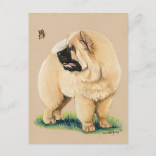Chow Chow Original Dog Art Postcard