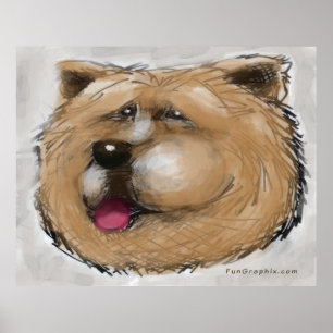 Chow Chow Poster