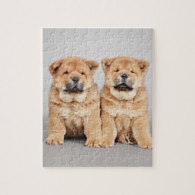 Chow chow puppies jigsaw puzzle (Vertical)