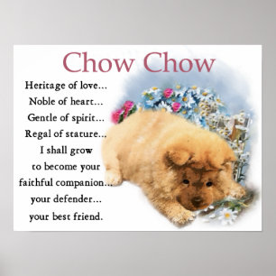 Chow Chow Puppy Art Print