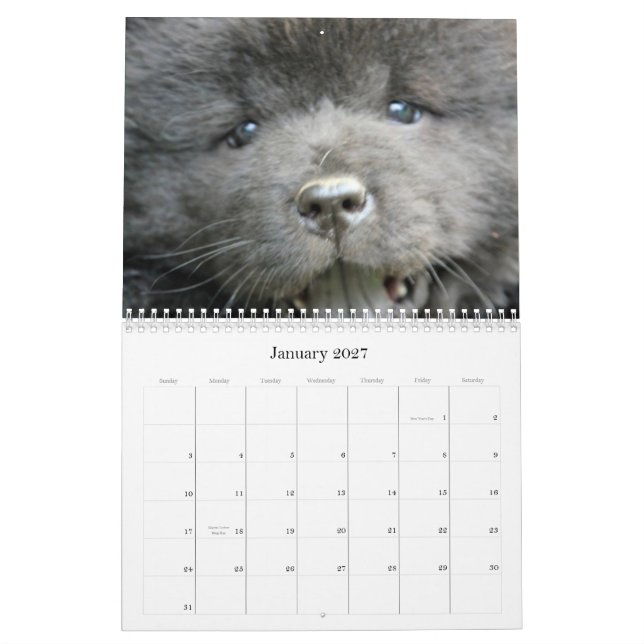 Chow Chow Rescue Calendar (Jan 2027)