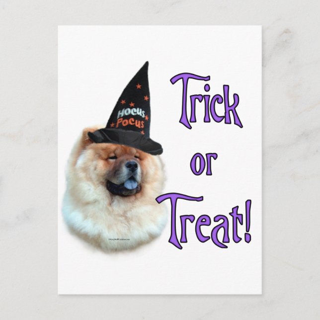 Chow Chow Trick Postcard (Front)