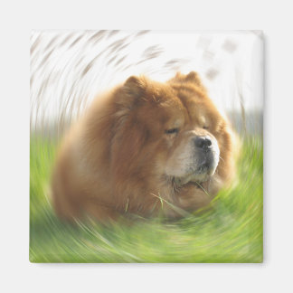 Chow-Chow vacation Magnet