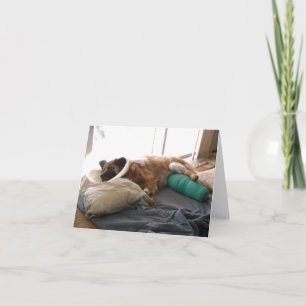 Chow Mix 'Get Well Soon' Greeting Card
