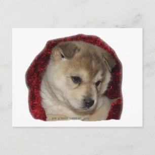 Chow Puppy in Red Scarf Postcard