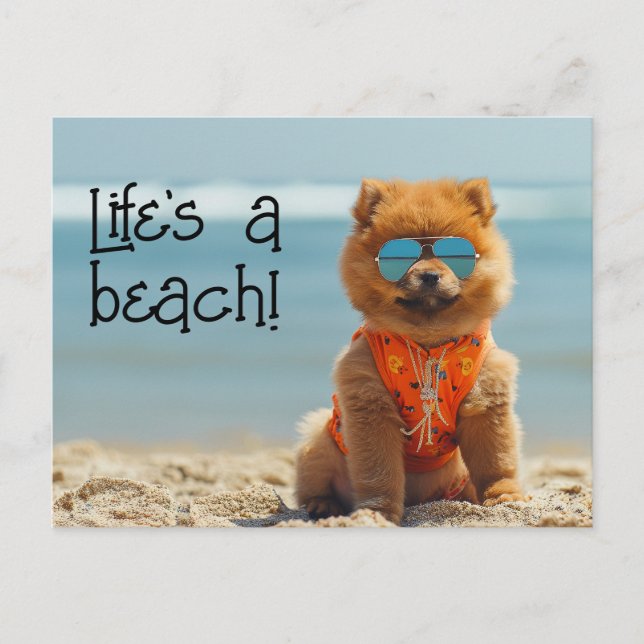 ChowChow Puppy wearing sunglasses postcard (Front)