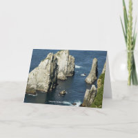 Chowiet Seabird Colonies Alaska General Friendship