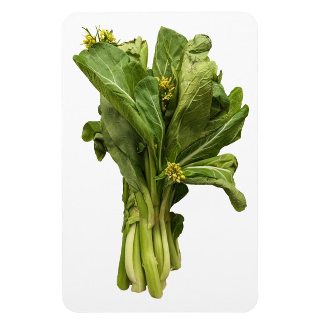 Choy Sum Photo Magnet (Vertical)