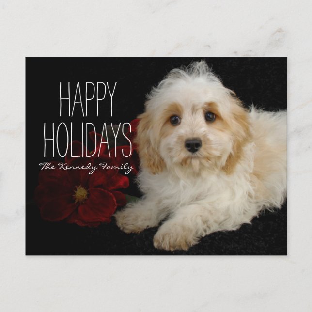 Chrirstmas Cavachon puppy Holiday Postcard (Front)