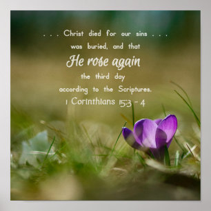 Christ Rose Again Crocus Poster