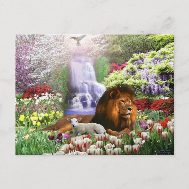 Christ the Lamb of God Postcard (Front)