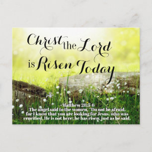 Christ the Lord is Risen Today Matthew 28:5 Easter Holiday Postcard