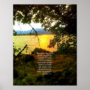 Christian Bible Verse Lake Landscape Creationarts Poster