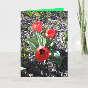 Christian Christmas card for bereaved person.