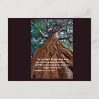 Christian inspirational quote on a beautiful tree