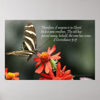 Christian Poster - Butterfly - New Creation