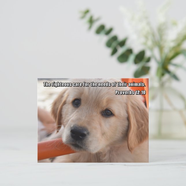 Christian Puppy Postcard (Standing Front)