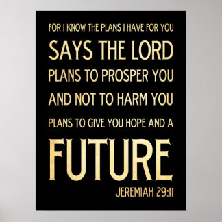Christian Scriptural Bible Verse - Jeremiah 29:11 Poster