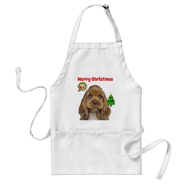 Christian Standard Apron (Front)