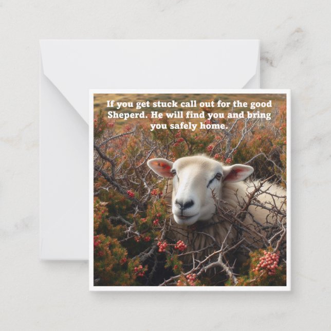 Christian support lamb in briars card (Front)