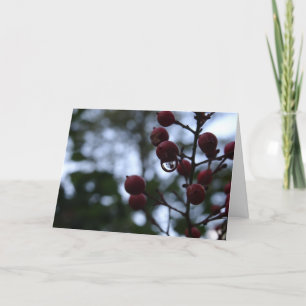 Christian Sympathy Card Psalm Bible Verse