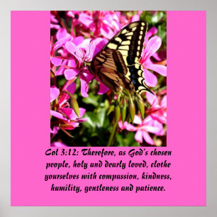 Christianity Scripture Col 3:12 Poster
