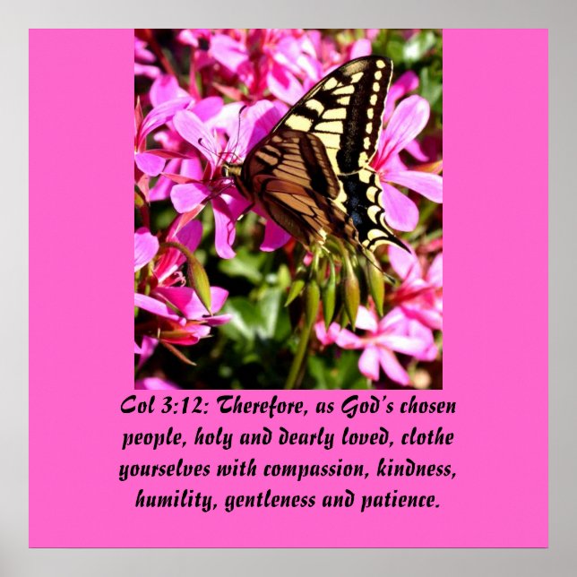 Christianity Scripture Col 3:12 Poster (Front)