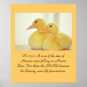 Christianity Scripture Ps 133:3 Poster