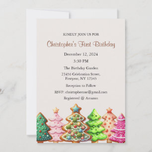 Christmas 1st Birthday, First Birthday Decemeber Invitation