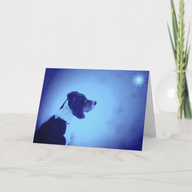 Christmas 2005 holiday card (Front)