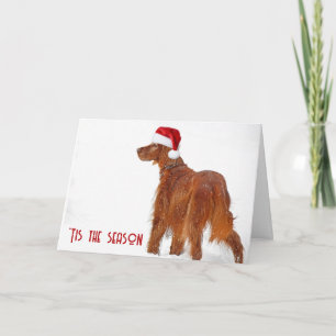 Christmas 2024 Irish Setter In Snow Card