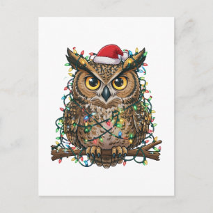 Christmas 2026 Festive Owl Holiday Bird Postcard