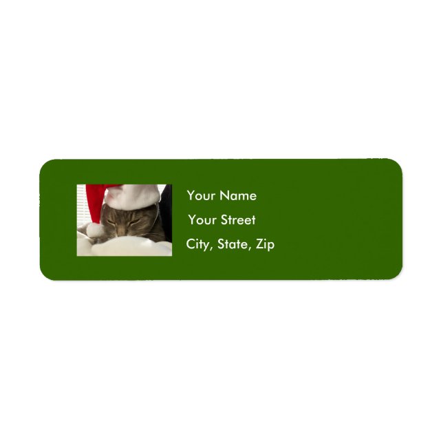 Christmas Address Label Green Return Address Label (Front)