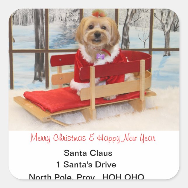 Christmas Address Stickers (Front)