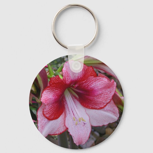 Christmas Amaryllis Red Holiday Floral Key Ring (Front)