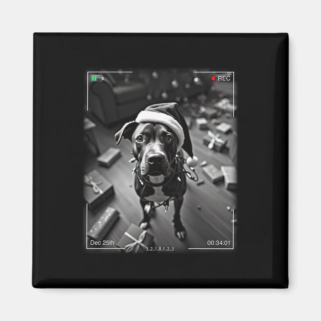 Christmas American Staffordshire Terrier Caught On Magnet (Front)