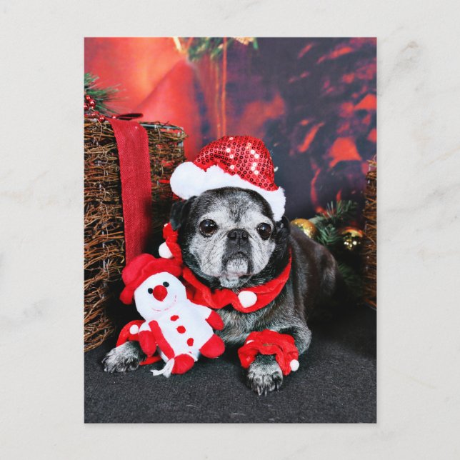 Christmas - Angel - Pug Holiday Postcard (Front)