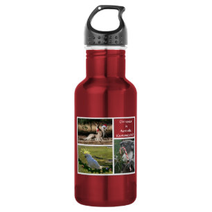 Christmas Animals Aussie Style - Personalizable 532 Ml Water Bottle