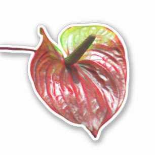 Christmas Anthurium  Vinyl Sticker