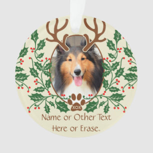 Christmas Antlers For Dog / Cat Personalise Photo Ornament