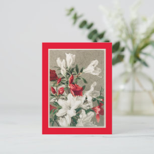 Christmas apple blossom holiday postcard