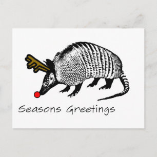 Christmas Armadillo Holiday Postcard