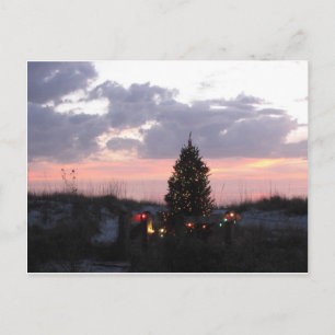 Christmas at Indian Rocks Beach, Florida Holiday Postcard