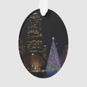 Christmas At Warren Park Night Ornament