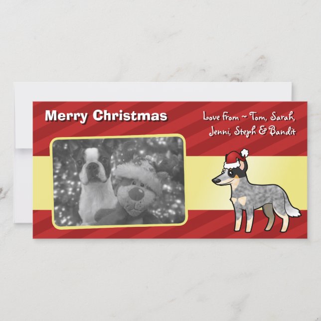 Christmas Australian Cattle Dog / Kelpie Holiday Card (Front)