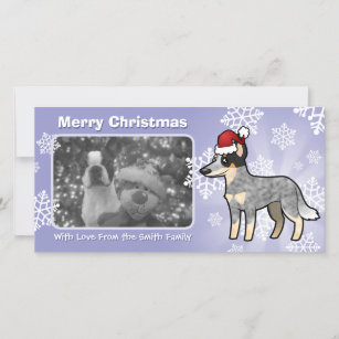 Christmas Australian Cattle Dog / Kelpie Holiday Card